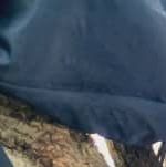 Avatar de l’utilisateur/utilisatrice