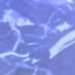 Avatar de l’utilisateur/utilisatrice